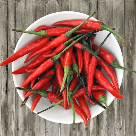 Hotorganicredthaihotchilipeppercapsicumannuum 50seeds