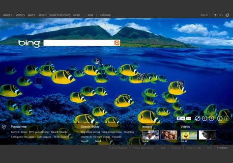 Bing Photos Now Downloadable As Full Screen Wallpaper