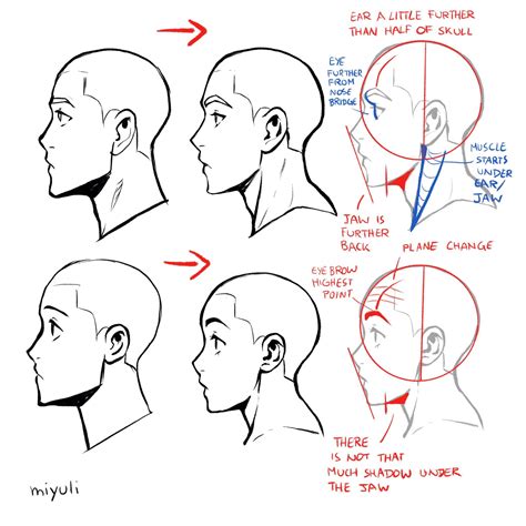 Miyuli On Twitter Drawing Tutorial Face Drawing Tutorial Drawings