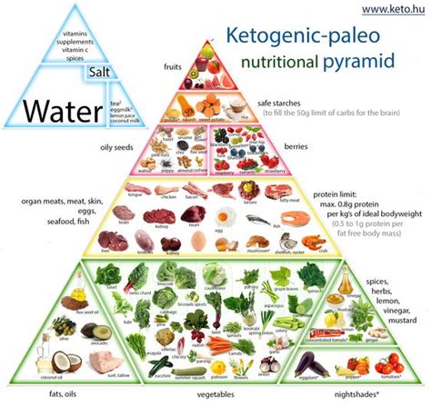 Eating fat makes you fat. dietary food pyramid 2014 | ketogenic-paleo-nutrition ...
