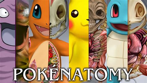 Pokenatomy The Pokemon Anatomy Illustration Book Redkoifish