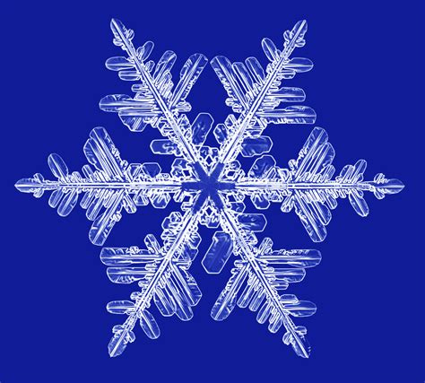 Real Snowflakes Background