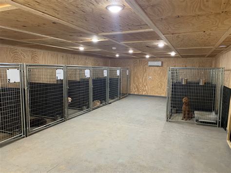 Boarding Dog Boarding Kennel Near Chattanooga And Cleveland Tennessee