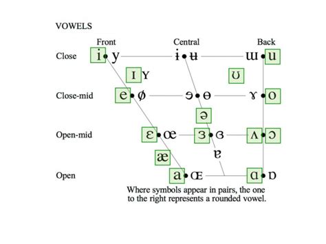 International Phonetic Alphabet Ipa Vowel Chart International