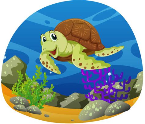 560 Sea Turtle Clipart Stock Illustrations Royalty Free Vector