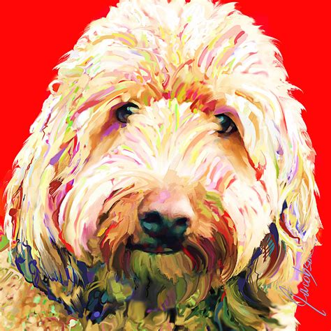 Labradoodle 1 Painting By Jackie Medow Jacobson Pixels