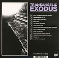Ezra Furman: Transangelic Exodus (CD) – jpc.de