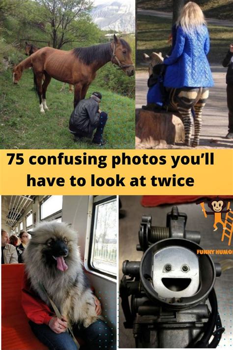 75 Confusing Photos Youll Have To Look At Twice In 2020 Photo Cute