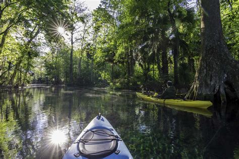9 Awesome Things To Do In Ocala Florida