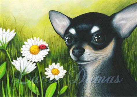 Aceo Art Print Dog 79 Black Chihuahua Painting By Lucie Dumas