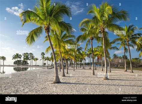 Sand Beach Reflecting Pool Atoll Matheson Hammock County Park Miami