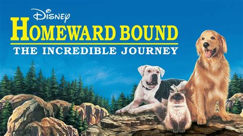 Watch Homeward Bound The Incredible Journey Full Movie Disney