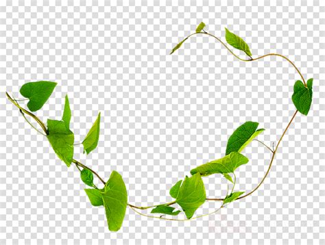 Green Grass Background Clipart Vine Plants Leaf Transparent Clip Art