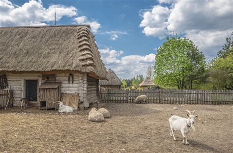 Zagroda Bilder Durchsuchen 2495 Archivfotos Vektorgrafiken Und