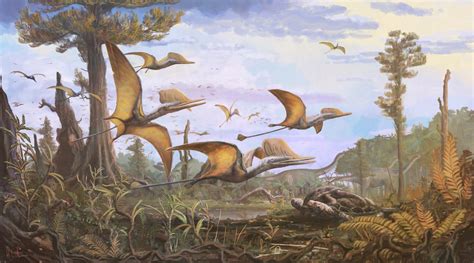 New Pterosaur Species Identified From Skye Fossils Scinews
