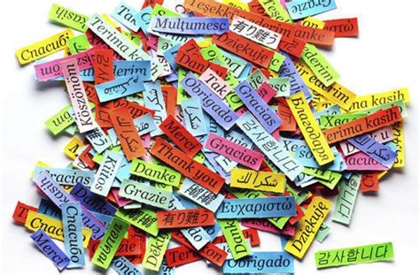 How do you choose which language to learn? | EuroTalk Blog