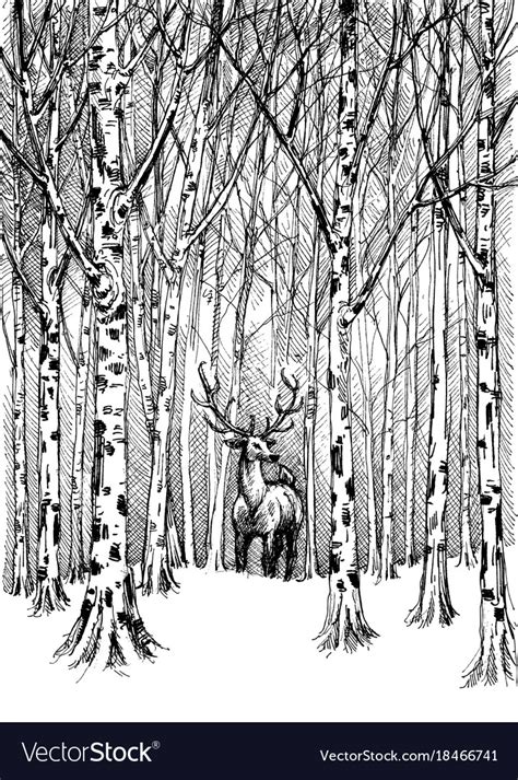 Wildlife Carbon Drawing Deer In Winter Forest Vector Image