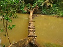 Khao Yai National Park, Thailand - GoVisity.com