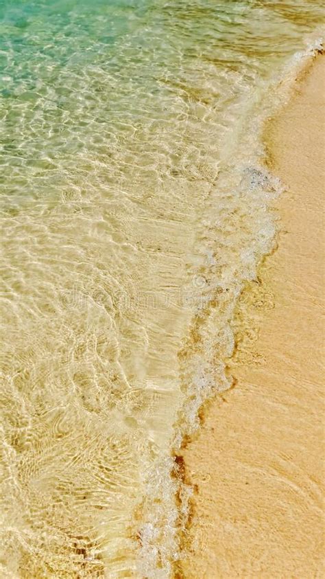 Bright Sea With Waves And Golden Yellow Sand Vertical Image Stock