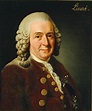 Carl von Linné – Carl-von-Linné-Schule