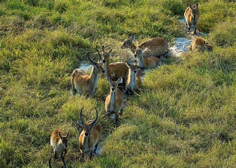 Visit The Kafue National Park In Zambia Audley Travel Uk