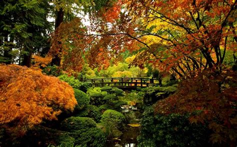 Portland Oregon Japanese Garden Photos