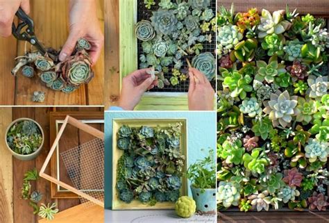 30 Ideas Creativas Con Plantas Para Decorar Tu Hogar Y Jardín