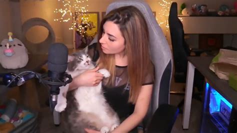 Streamer Apologizes For Throwing Her Cat