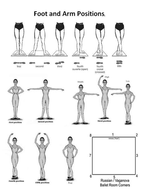 A Time To Dance Performing Arts Education Basic Ballet Positions