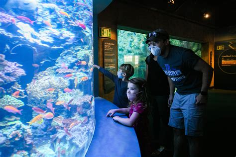New Animals Exhibits Make For Exciting Reopening Of Aquarium Of The