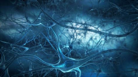 4k Nerve Cell Wallpapers High Quality Download Free
