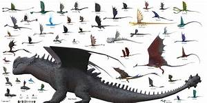 A Size Chart Of All Dragons Found In School Of Dragons Oc R Httyd