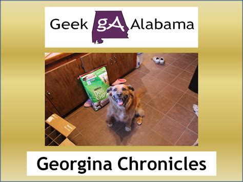 The Georgina Chronicles Clinics Vote Today Geek Alabama