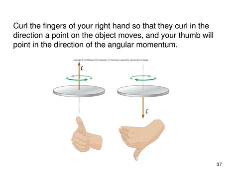 Ppt Chapter 8 Torque And Angular Momentum Powerpoint Presentation