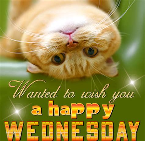 We did not find results for: Happy Wednesday Pictures, Photos, and Images for Facebook ...