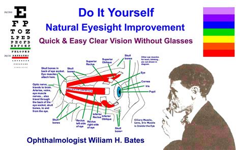 Vision Without Glasses Review Top Expert Product Reviews
