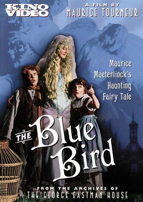 10 Beautiful Bluebird Posters From Old Films The Bluebird Patch