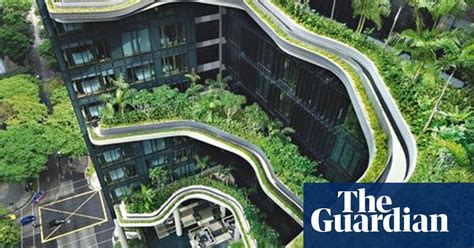 Gardens Look East For Eden Singapore Style Gardens The Guardian