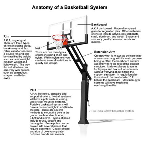 Parts Of A Basketball Court