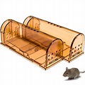 5 Of Be Best Outdoor Rat Traps For A Rodent Free Garden