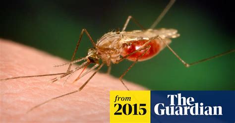 First Malaria Vaccine Expected To Be Approved By European Regulators