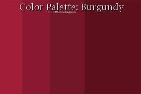 Color Palette Burgundy Stunning Expressions