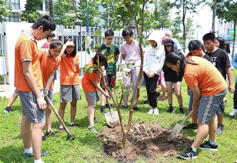 Students Planting Trees In Celebration Of International Childrens Day