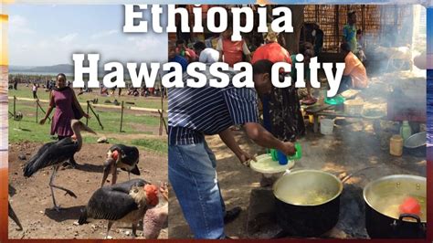 My Trip Ethiopia To Hawassa City ኢትዮጵያ ወደ ሀዋሳ ከተማ Youtube