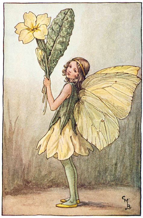 Illustration For The Primrose Fairy From Flower Fairies Of The Spring