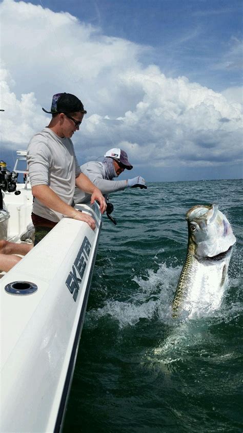 Boca Grande Tarpon Fishing 2014 Boca Grandes Best Tarpon Fishing