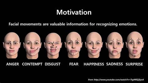 facial expression recognition emotion recognition is the process of… by abhaya kumar medium