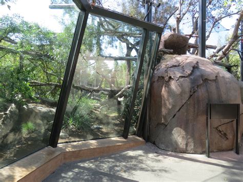 Africa Rocks Kopje Turkmenistan Caracal Exhibit San Diego Zoo