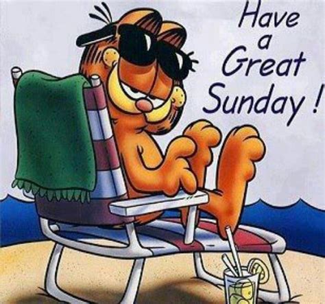 Happy Sunday Frases Garfield Garfield Quotes Garfield Pictures