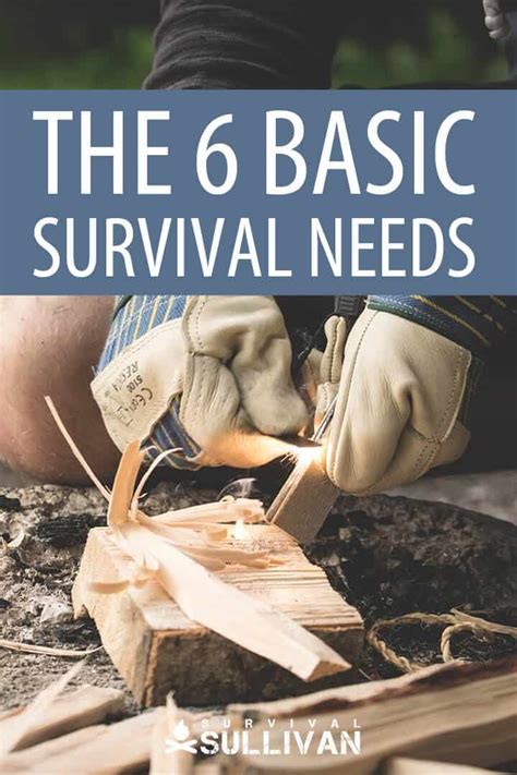 The 6 Critical And Basic Survival Needs Survival Sullivan